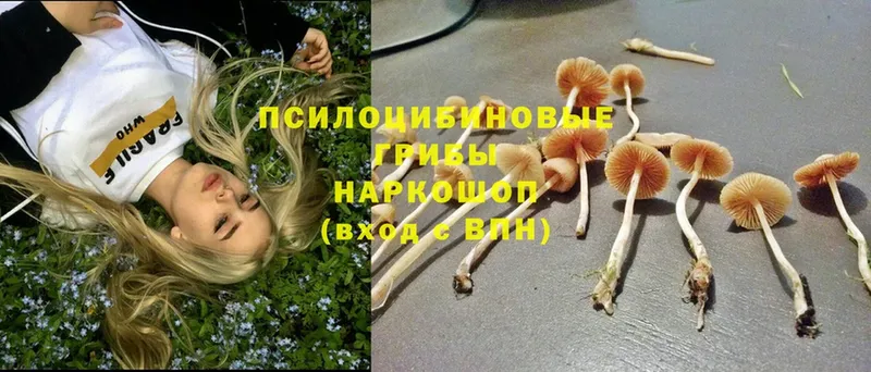 Псилоцибиновые грибы MAGIC MUSHROOMS  Киров 